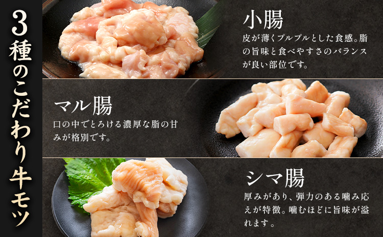 牛モツ鍋セット 2パック 焼肉レストラン食道園  牛モツ鍋 牛もつ《90日以内に出荷予定(土日祝除く)》 もつ鍋 モツ鍋 モツ3種 シマ腸 マル腸 小腸 モツ もつ 鍋 九州醤油 しょうゆベース 醤油ベース 鍋パ 鍋パーティー 贈答品 送料無料 北海道 日高町