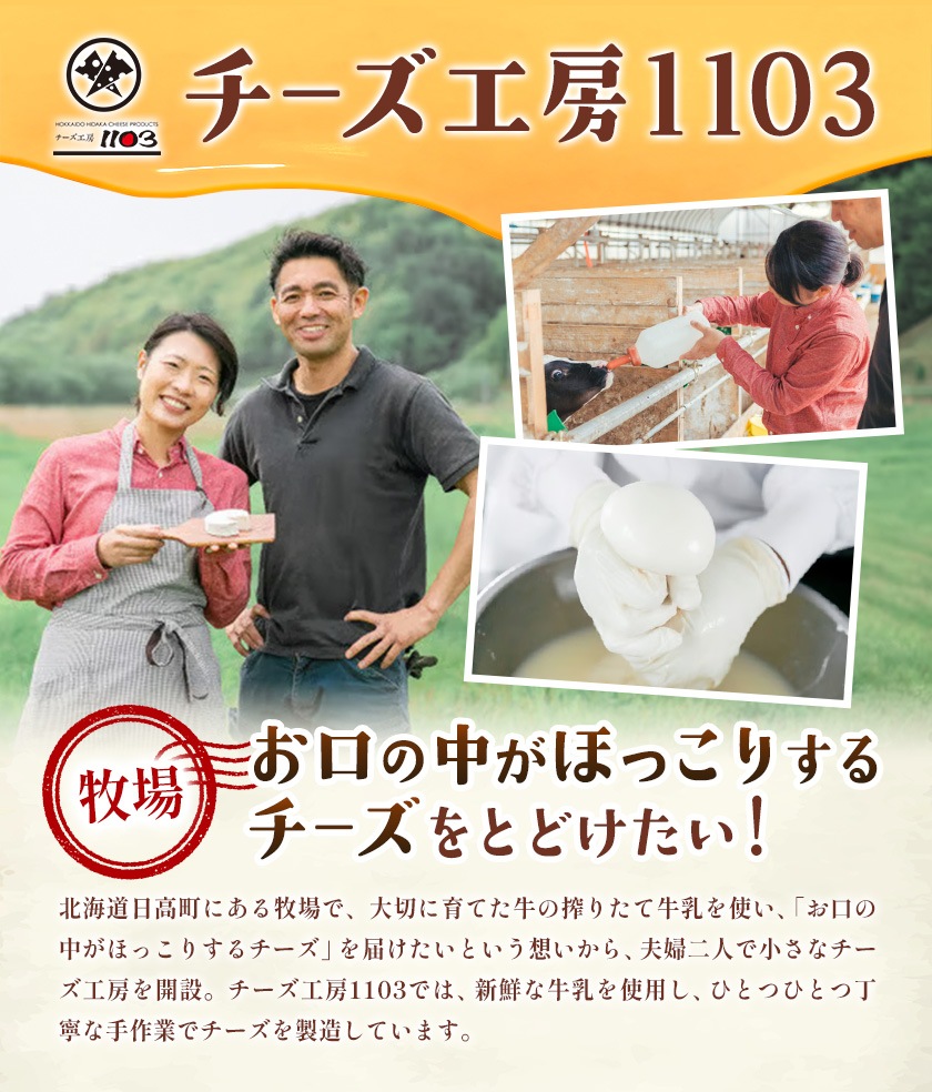 【お歳暮のし付き】チーズセットA 計6種 チーズ工房1103《90日以内に出荷予定(土日祝除く)》ストリング拓 ストリング日高 味噌チー モッツアレラ潤 カチョカバロ 生カマンベール チーズ チーズセット 乳製品 送料無料 ギフト 贈り物 北海道 日高町
