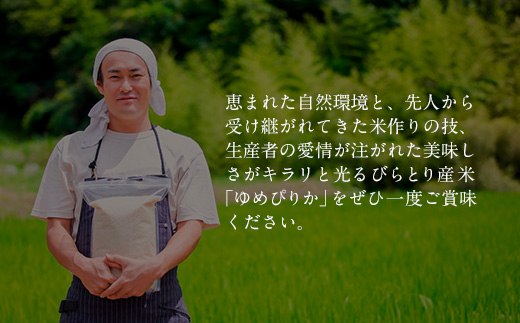 【2週間以内に発送/令和6年産】【北海道最上級ブランド米】「ゆめぴりか」5kg BRTH031