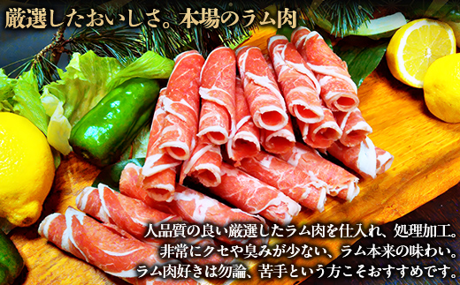 ãã詊ãçšãåæµ·éæ°ãããããã©ã ããã¶ã500gÃ2ããã¯1kg BRTI014