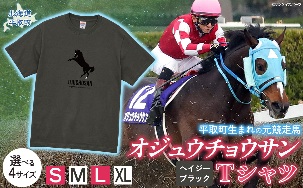 【オジュウチョウサン】Ｔシャツ _Mサイズ（ヘイジーブラック） BRTV004-2