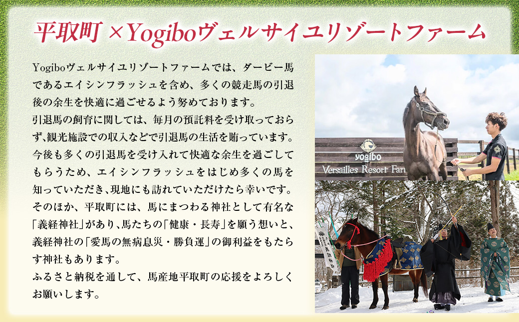 ããšã€ã·ã³ãã©ãã·ã¥ãã¯ãªã¢ãã¡ã€ã«5æå
¥ã BRTV033