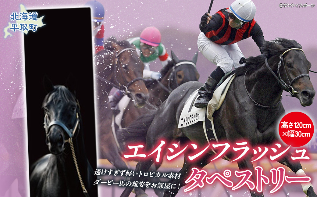 ããšã€ã·ã³ãã©ãã·ã¥ãã¿ãã¹ããªãŒ BRTV031