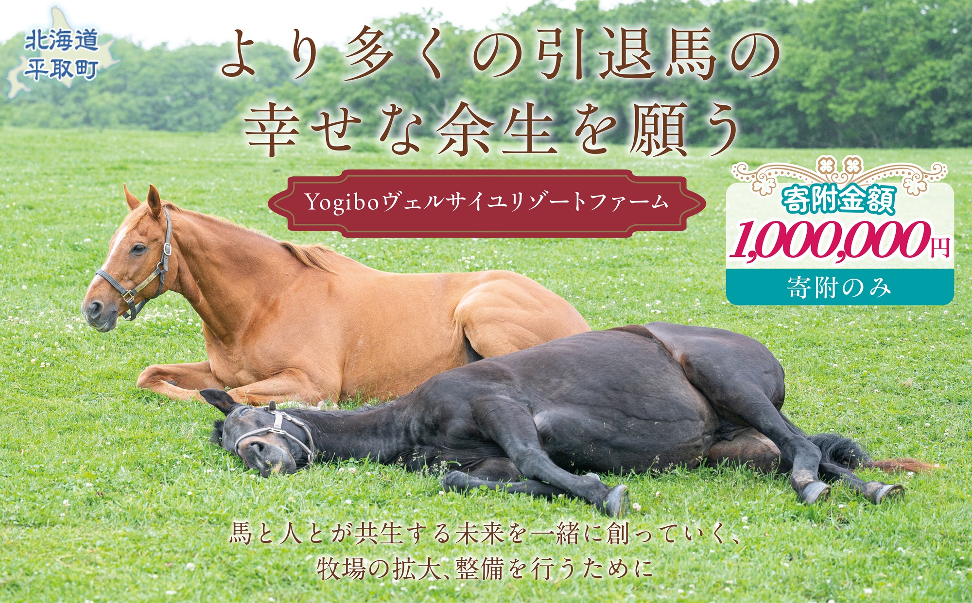 【100万円コース 返礼品無し】より多くの引退馬の幸せな余生を願う　Yogiboヴェルサイユリゾートファーム BRTV024-06