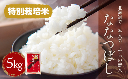 【特別栽培米】北海道で１番人気！「ニシパの恋人」ななつぼし　5kg BRTH013