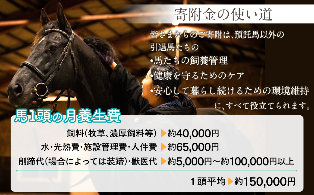 【100万円コース 返礼品無し】より多くの引退馬の幸せな余生を願う　Yogiboヴェルサイユリゾートファーム BRTV024-06