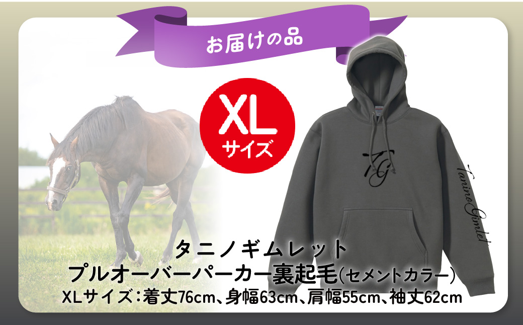 【破壊神タニノギムレット】(セメントカラー）プルオーバーパーカー裏起毛　選べる４サイズ【ＸＬ】 BRTV105-4