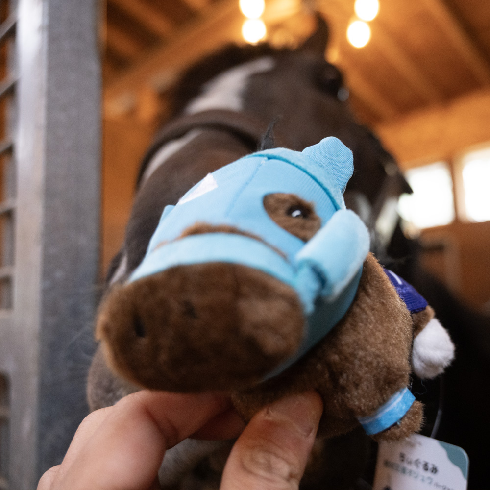 【オジュウチョウサン】ちぃぐるみ　絶対王者バージョン BRTV006