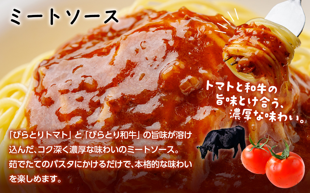 びらとり和牛カレー中辛・びらとりトマトカレー・ミートソースセット（各2箱）BRTH033