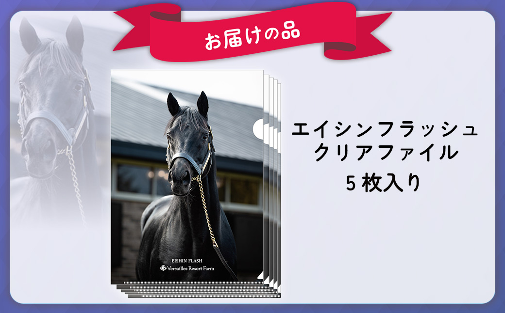 ããšã€ã·ã³ãã©ãã·ã¥ãã¯ãªã¢ãã¡ã€ã«5æå
¥ã BRTV033