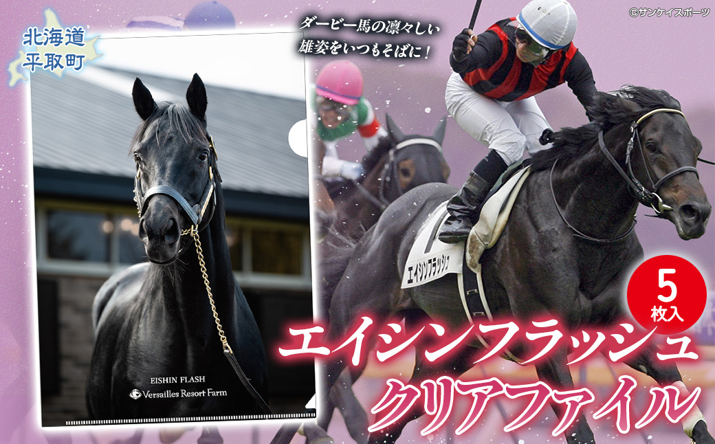 ããšã€ã·ã³ãã©ãã·ã¥ãã¯ãªã¢ãã¡ã€ã«5æå
¥ã BRTV033