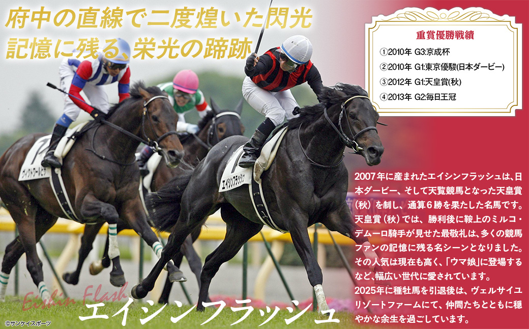 ããšã€ã·ã³ãã©ãã·ã¥ãã¯ãªã¢ãã¡ã€ã«5æå
¥ã BRTV033