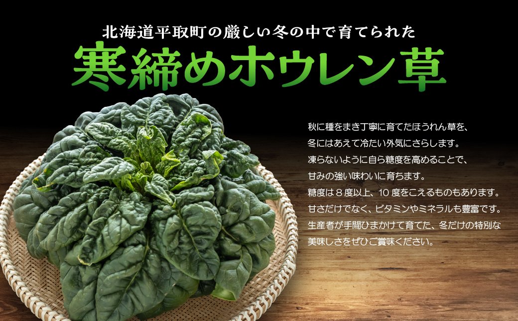 【先行予約/2026年12月上旬以降発送】【北海道平取町産】寒締めホウレン草（ちぢみほうれん草）200g×10袋 BRTO003