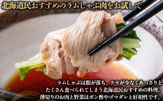 ãã詊ãçšãåæµ·éæ°ãããããã©ã ããã¶ã500gÃ2ããã¯1kg BRTI014