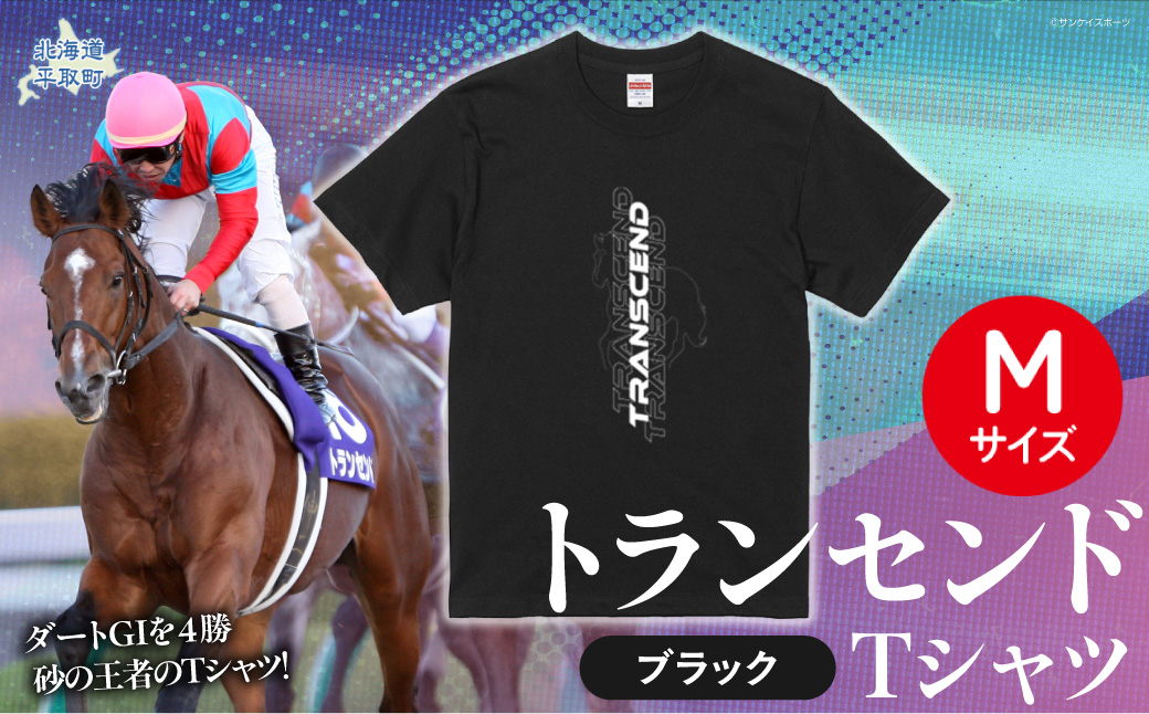 【トランセンド】Ｔシャツ 選べる４サイズ【M】 BRTV150-2