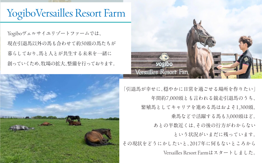 【1億円コース 返礼品無し】より多くの引退馬の幸せな余生を願う　Yogiboヴェルサイユリゾートファーム BRTV024-08