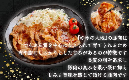 縲仙ケウ蜿也伴逕」蝗帛雎壹代f繧√ョ螟ァ蝨ー雎壹Ο繝シ繧ケ繧ケ繝ゥ繧、繧ケ 200gテ3繝代ャ繧ッ險600g BRTD011