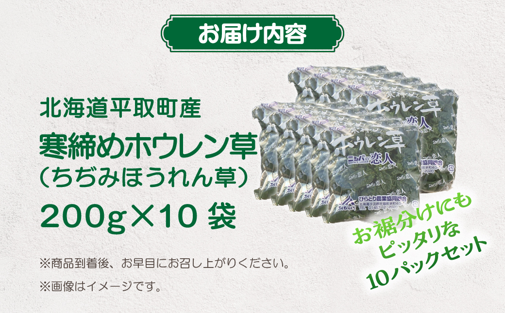 【先行予約/2026年12月上旬以降発送】【北海道平取町産】寒締めホウレン草（ちぢみほうれん草）200g×10袋 BRTO003