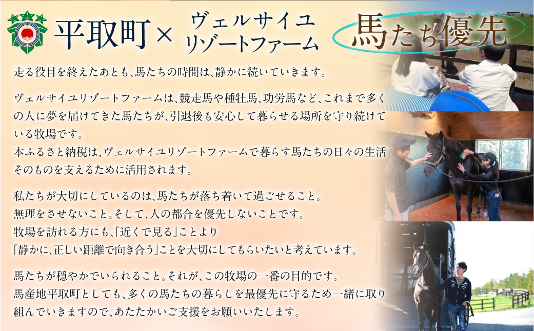【1億円コース 返礼品無し】より多くの引退馬の幸せな余生を願う　Yogiboヴェルサイユリゾートファーム BRTV024-08