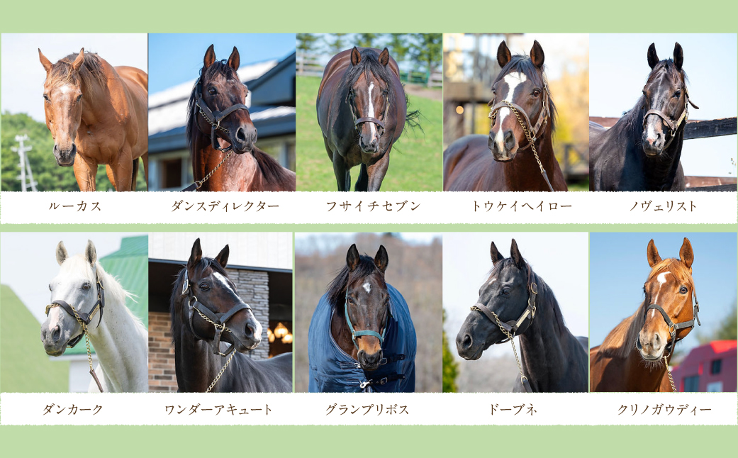 ã1000äžåã³ãŒã¹ è¿ç€Œåç¡ããããå€ãã®åŒé銬ã®å¹žããªäœçãé¡ããYogiboãŽã§ã«ãµã€ãŠãªãŸãŒããã¡ãŒã BRTV024-07