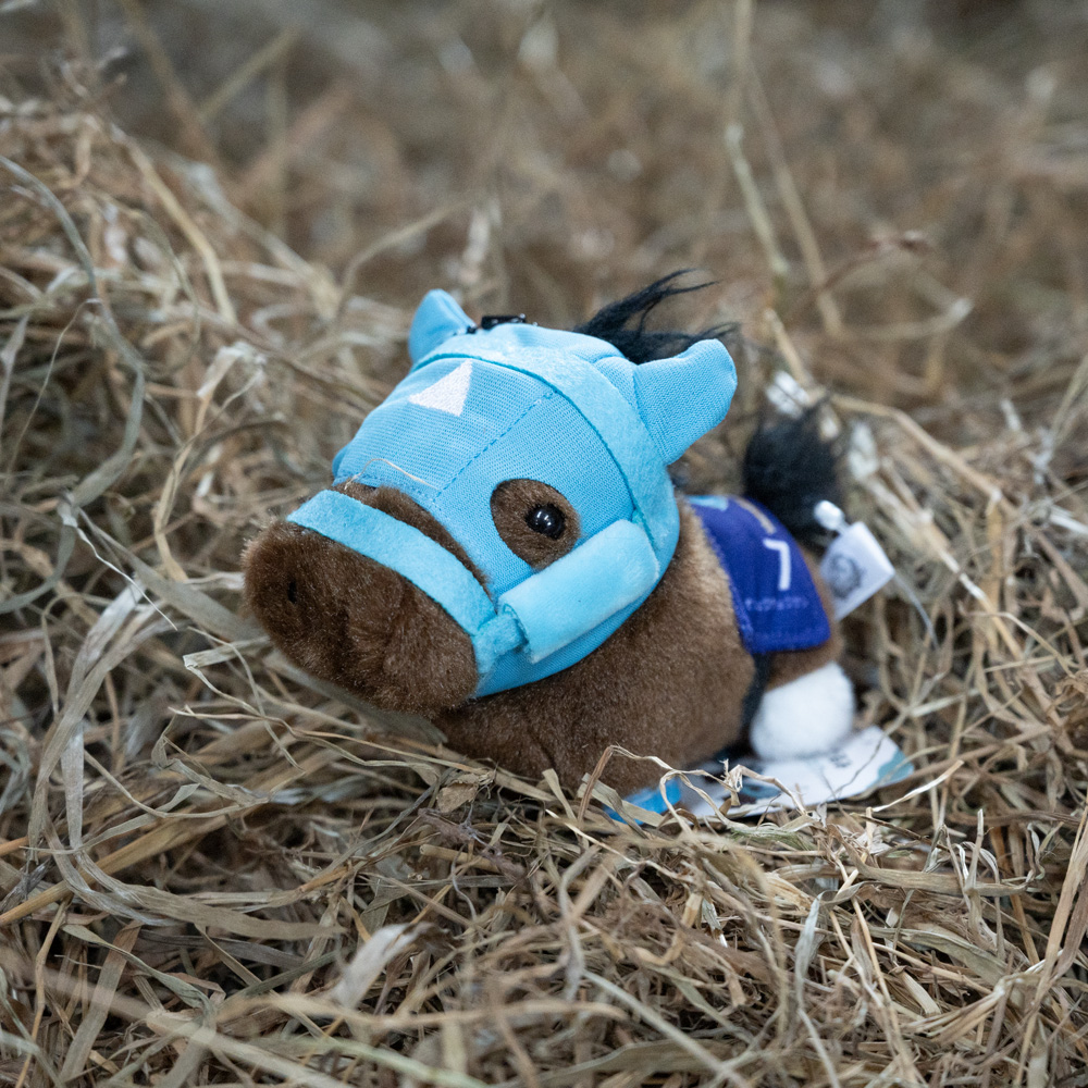 【オジュウチョウサン】ちぃぐるみ　絶対王者バージョン BRTV006