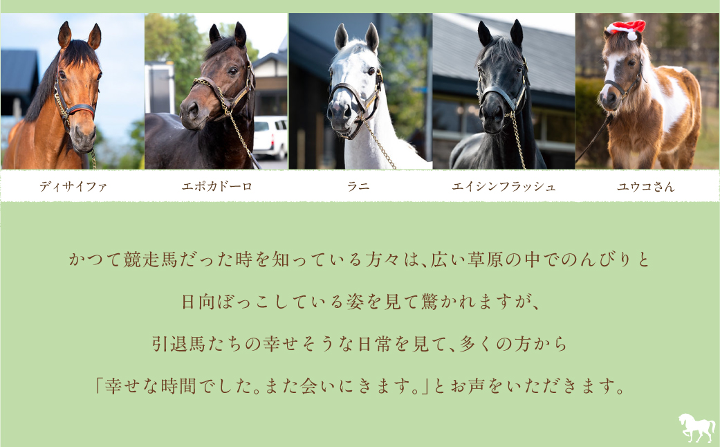 【1万円コース 返礼品無し】より多くの引退馬の幸せな余生を願う　Yogiboヴェルサイユリゾートファーム BRTV024-03