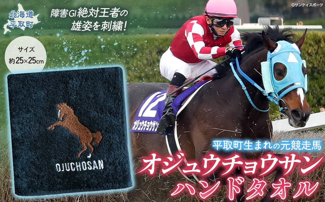 【オジュウチョウサン】ハンドタオル BRTV008