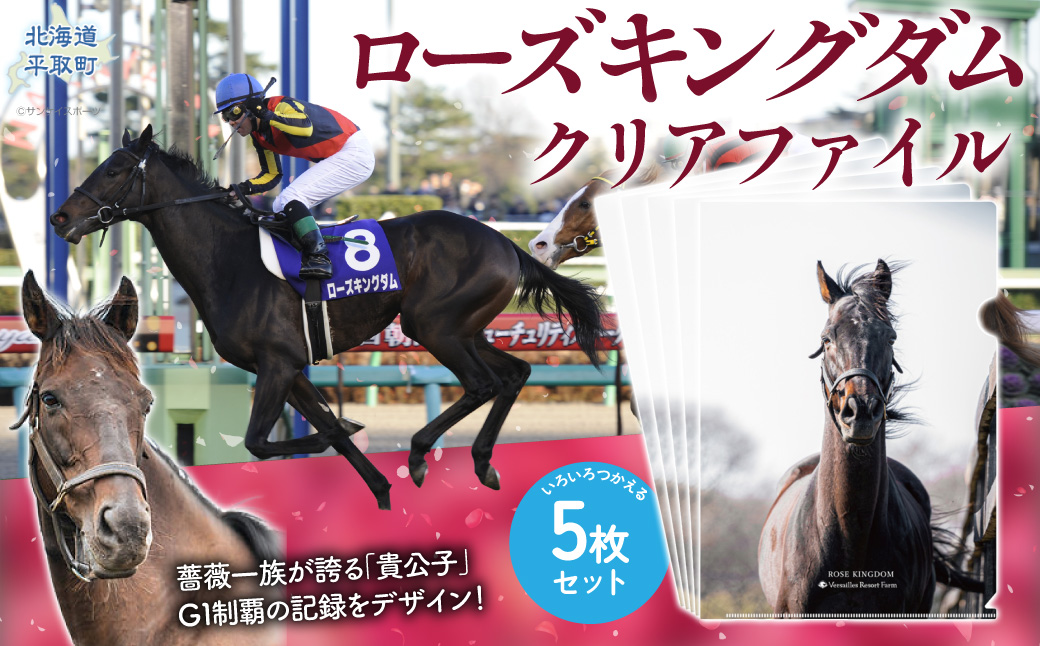 【ローズキングダム】クリアファイル 写真5枚入り BRTV255