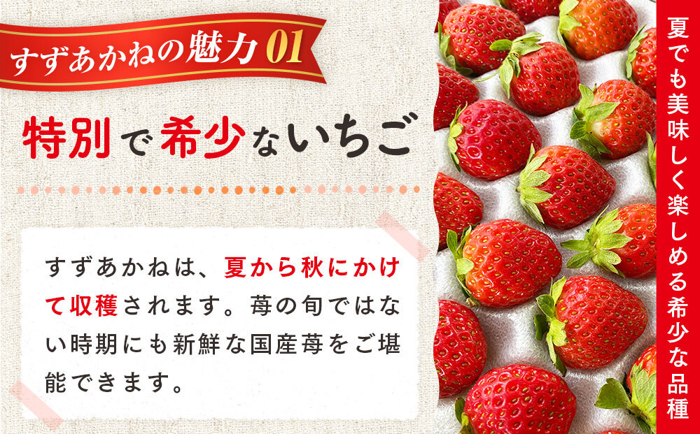 初夏を告げる！北海道　様似町産　すずあかね　600g（300g×2セット）