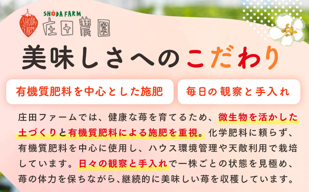 初夏を告げる！北海道　様似町産　すずあかね　600g（300g×2セット）