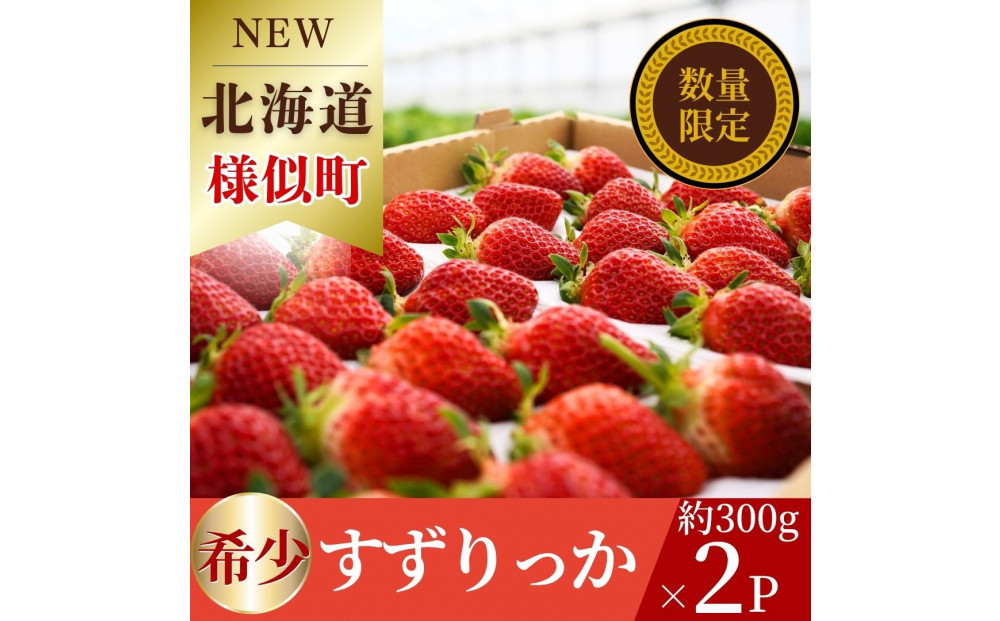 初夏を告げる！北海道　様似町産　すずりっか　600g（300g×2セット）