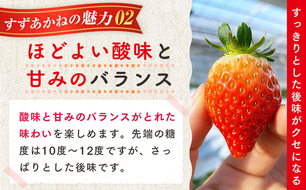 初夏を告げる！北海道　様似町産　すずあかね　600g（300g×2セット）