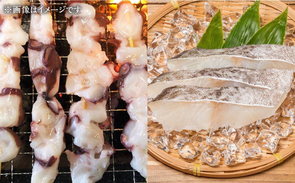 カネオ成栄丸のおまかせお魚BOX 美海(5種）