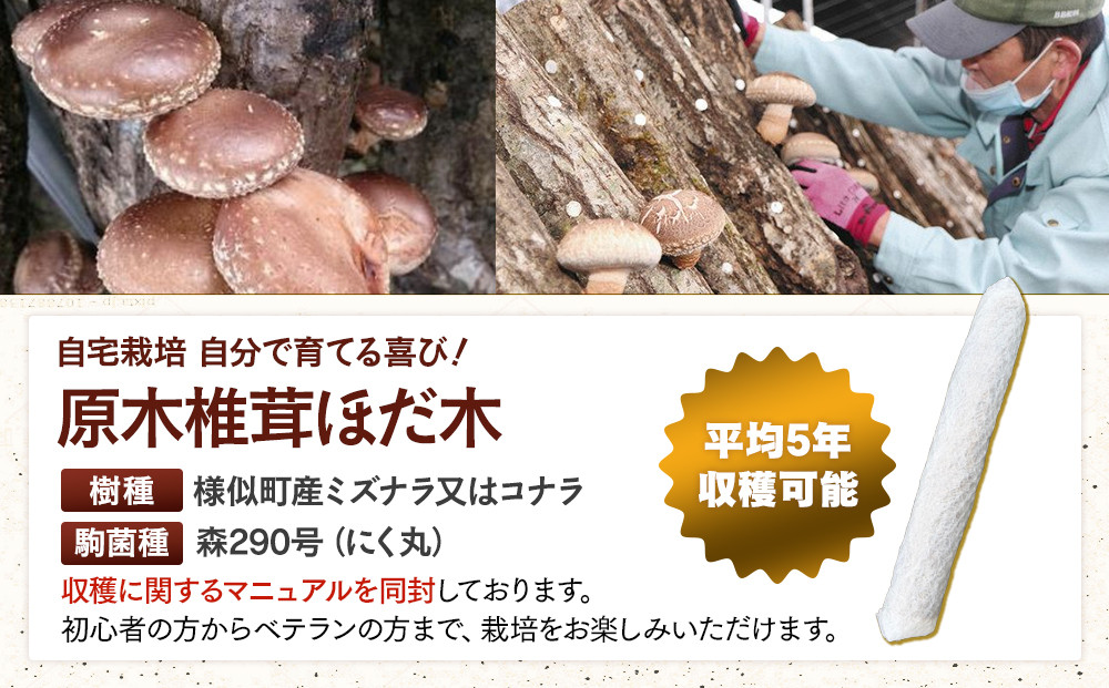 【自宅栽培】自分で育てる喜び！原木椎茸ほだ木　3本セット