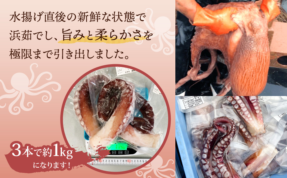 浜ゆで真タコ足 1kg（水タコ)