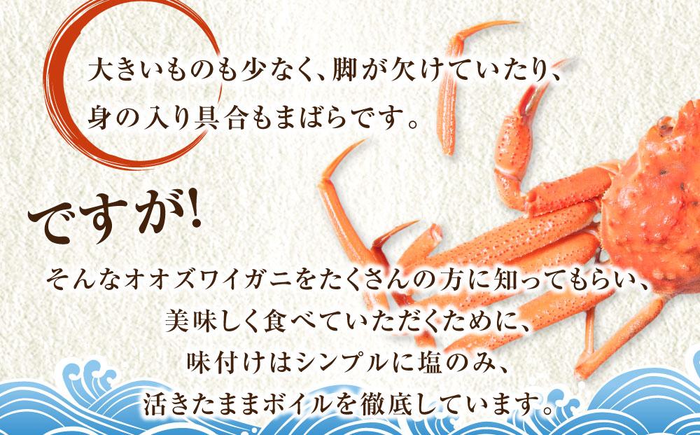 ãèš³ããããªãªãºã¯ã€ã¬ããã€ã«ã4å°ŸãåèšçŽ1.8kg