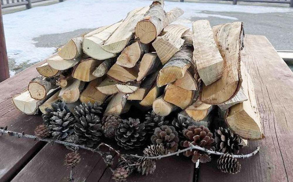 【訳あり】広葉樹ミックスたき火お試しセット(9kg×1箱)