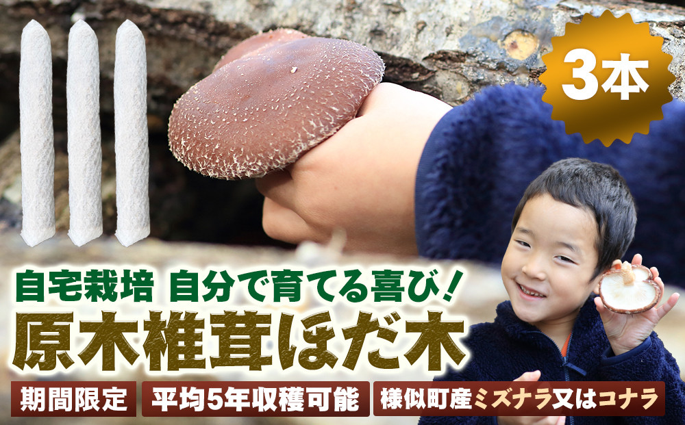 【自宅栽培】自分で育てる喜び！原木椎茸ほだ木　3本セット