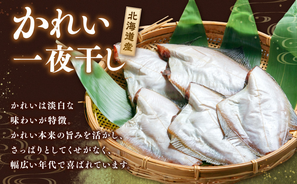 【丸富水産】北海道産 かれい一夜干しセット　5パック