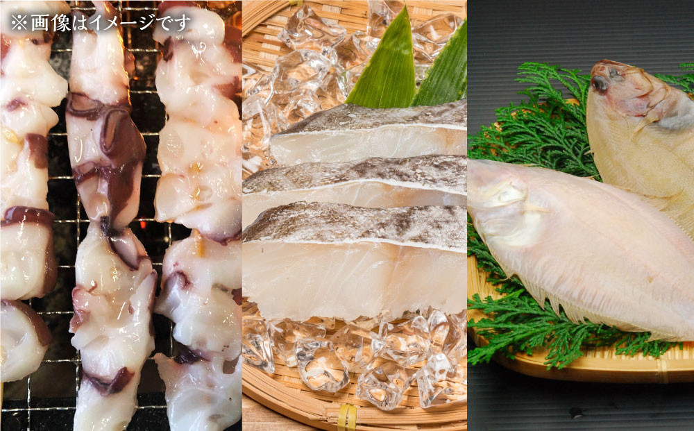 繧ォ繝阪が謌先荳ク縺ョ縺翫∪縺九○縺企ュ咤OX 豬キ譛(6遞ョシ