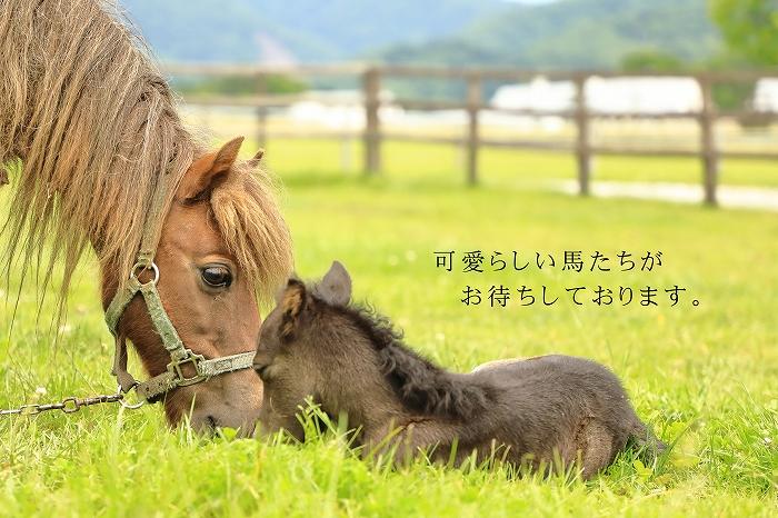 「星のイスキア」宿泊券（１名分）