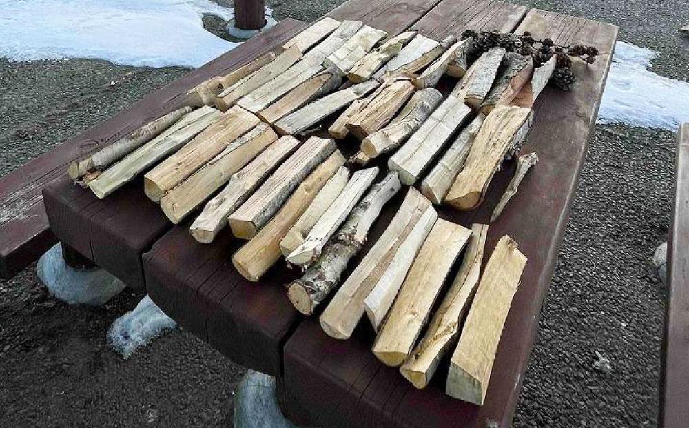 【訳あり】広葉樹ミックスたき火お試しセット(9kg×1箱)