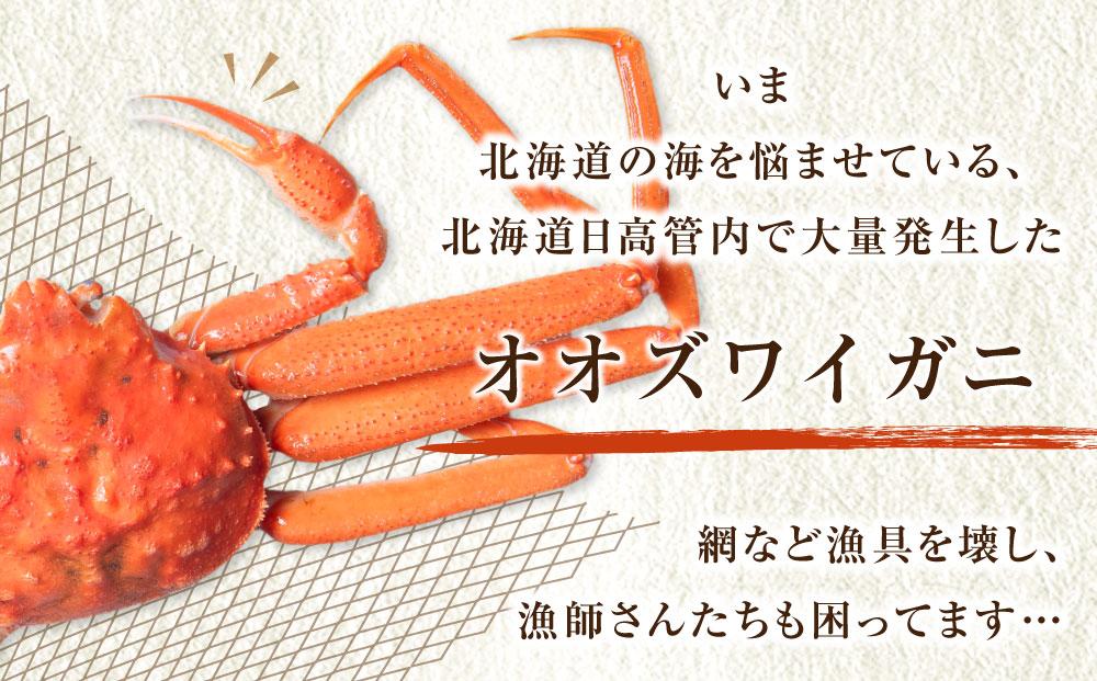 ãèš³ããããªãªãºã¯ã€ã¬ããã€ã«ã2å°ŸãåèšçŽ1.2kg