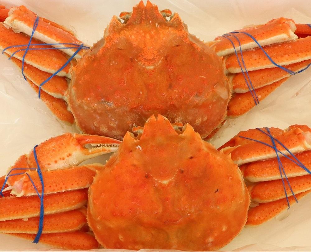 ãèš³ããããªãªãºã¯ã€ã¬ããã€ã«ã4å°ŸãåèšçŽ1.8kg