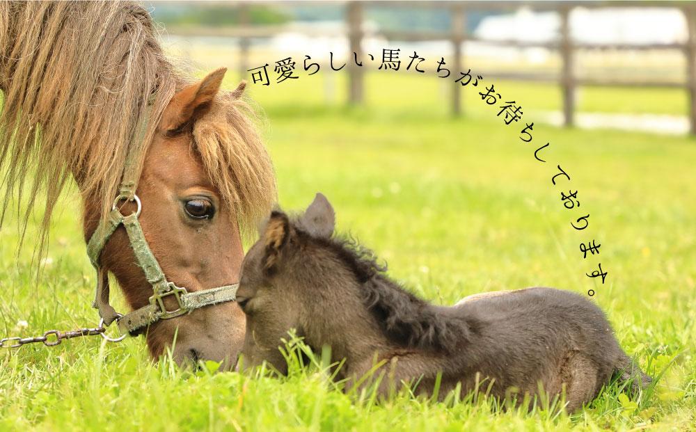 「星のイスキア」宿泊券（２名分）