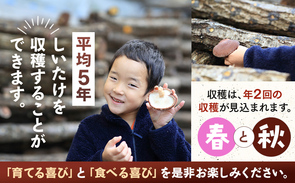 【自宅栽培】自分で育てる喜び！原木椎茸ほだ木　3本セット