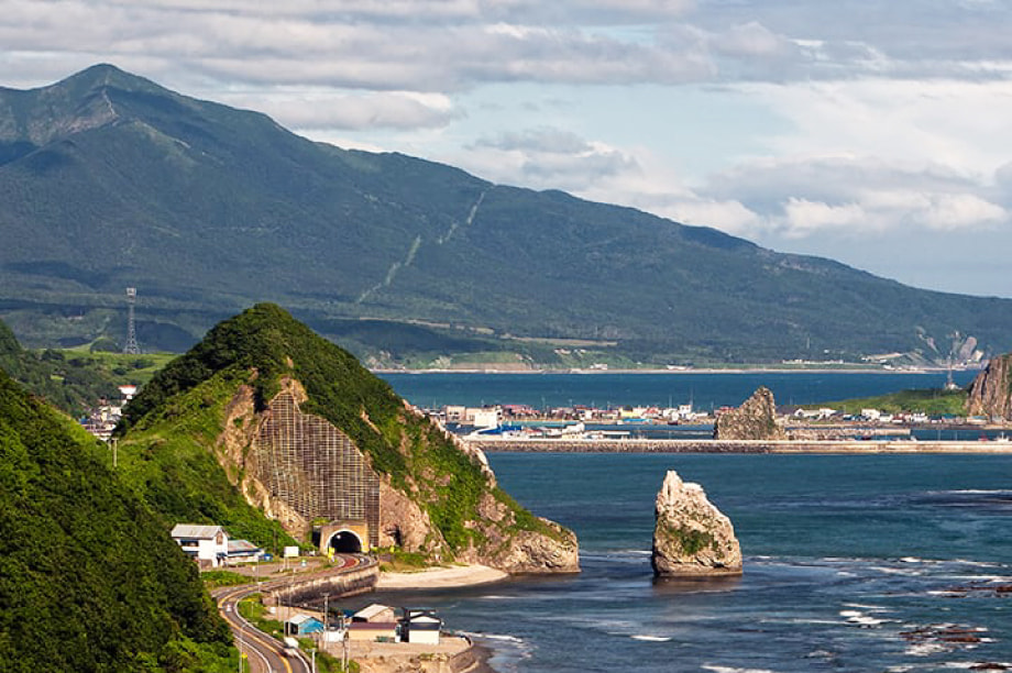 使途の指定なし（町長におまかせ）