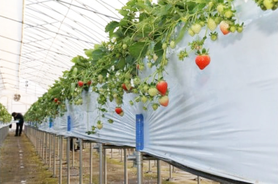 ふるさとの産業振興及び地域振興に関する事業