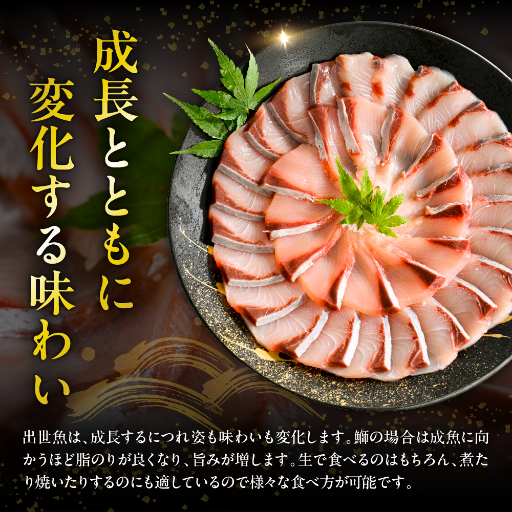 えりも【マルデン特製】(ワンフローズン)北海道日高産ぶり半身800g以上×2枚【er002-105】