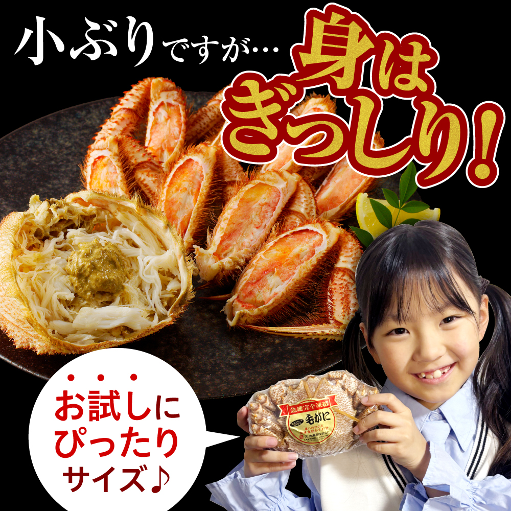北海道産活蒸し毛蟹約250g～約290g×1尾【er001-107】